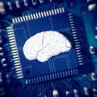 Tạo được vi chip phỏng theo mẫu não người