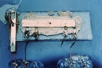 Jack Kilby và Robert Noyce, những người phát minh ra chip điện tử IC