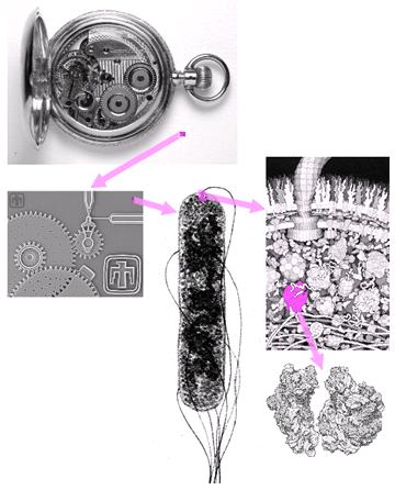 Công nghệ Sinh học Nano