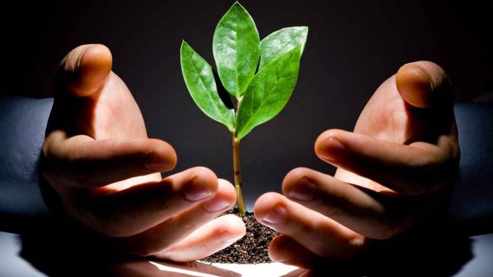 Toàn cảnh đầu tư công nghệ Việt 2012