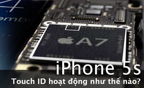 [iPhone 5s] Touch ID hoạt động như thế nào?